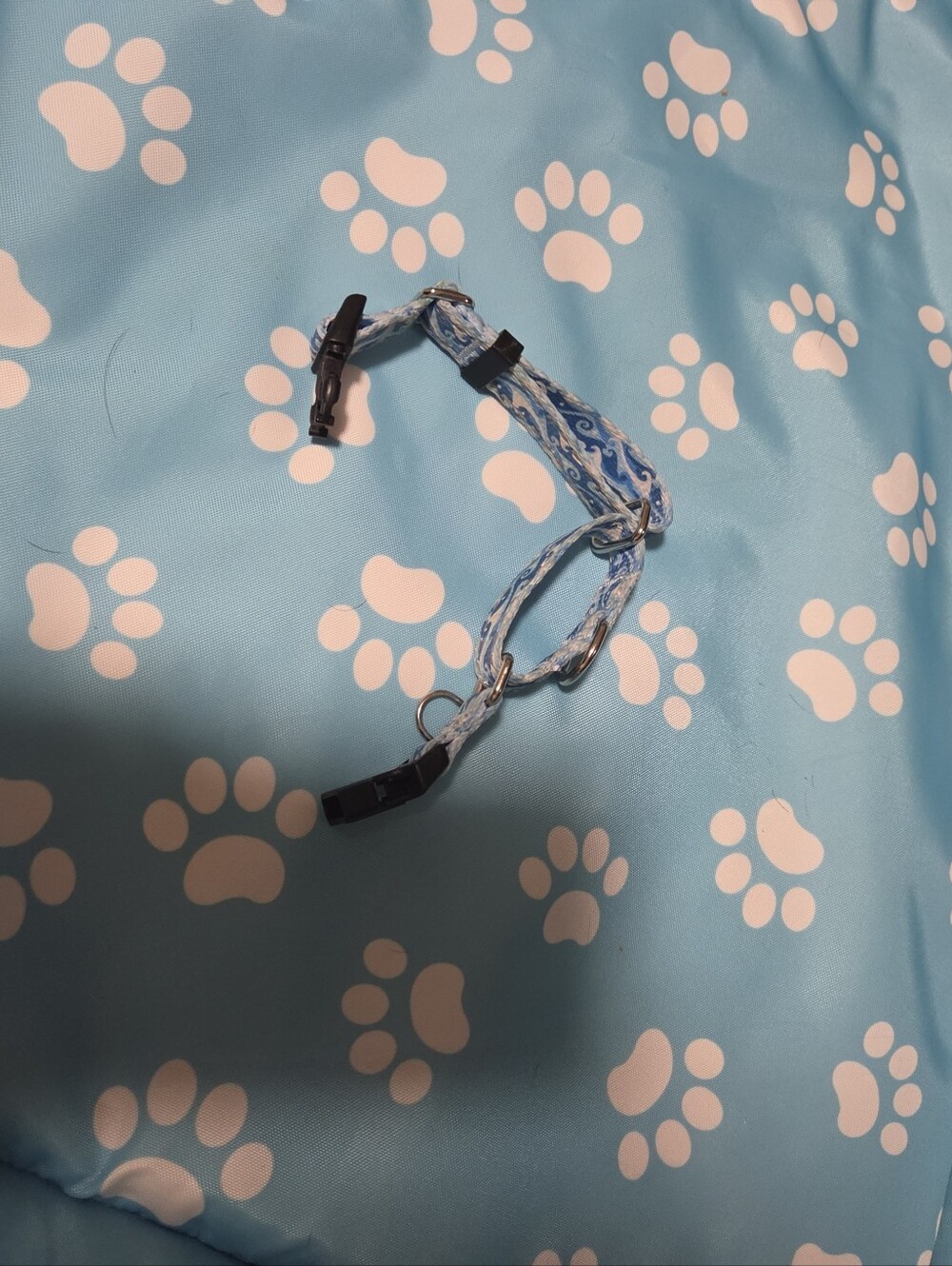 Blue Pattern Adjustable Martingale Dog Collar with Quick-Release Buckle